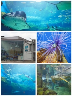 ��\�㓇�����يC�����