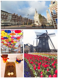 �n�E�X�e���{�X