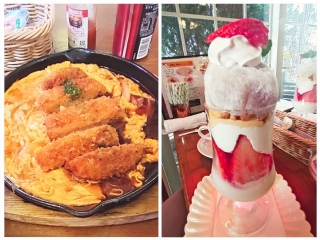 �J�c�Ƃ���H��䕑啟�p�t�F