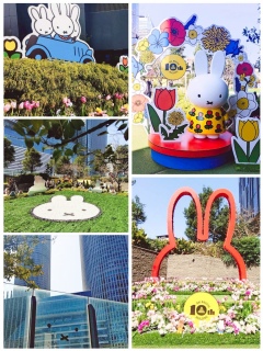 miffy�fs Joyful garden